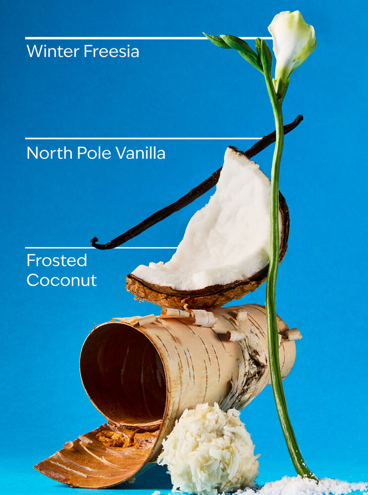 Frosted Coconut Snowball Body Wash Body Wash