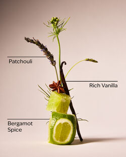 Vanilla Noir Cologne image number null