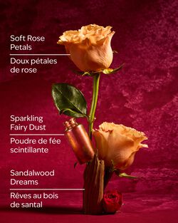 Aurora Fine Fragrance Mist image number null