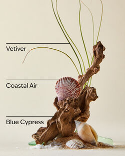 Ocean Cologne Mist image number null