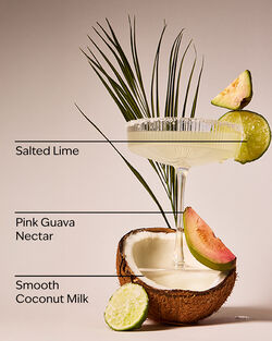 Guava Coconut Margarita Wallflowers Fragrance Refill image number null