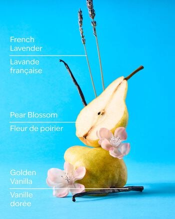 Moonlit Goddess Gentle & Clean Foaming Hand Soap Gentle & Clean Foaming Hand Soap