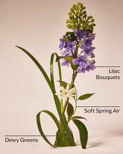 Fresh Cut Lilacs Wallflowers Fragrance Refill image number null