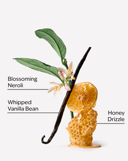 Whipped Honey & Vanilla Wallflowers Fragrance Refill image number null