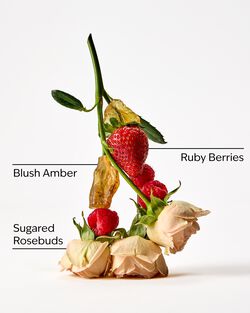 Covered In Roses Wallflowers Fragrance Refill image number null