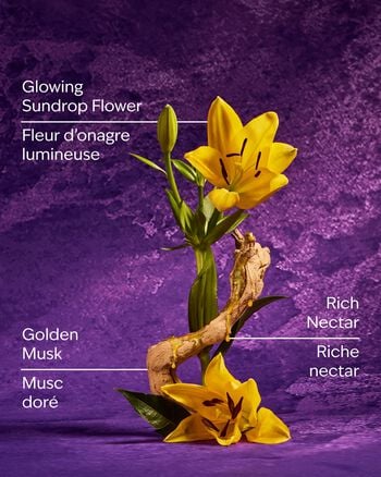 Rapunzel Travel Size Fine Fragrance Mist Travel Size Fine Fragrance Mist