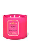 Cactus Blossom 3-Wick Candle image number null