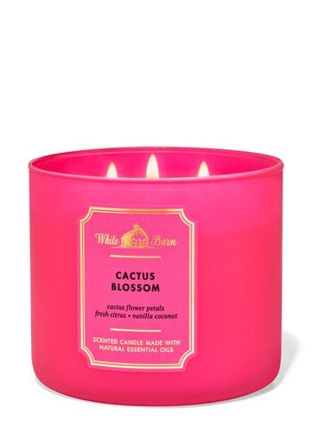Cactus Blossom 3-Wick Candle 3-Wick Candle