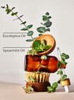 Eucalyptus Spearmint Single Wick Candle image number null