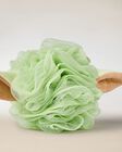 Grogu Sponge image number null