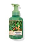 Waikiki Beach Coconut Gentle & Clean Foaming Hand Soap image number null