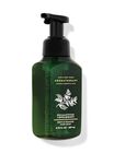 Eucalyptus Spearmint Foaming Hand Soap image number null