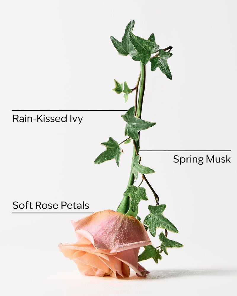Rose Water & Ivy 3-Wick Candle 3-Wick Candle