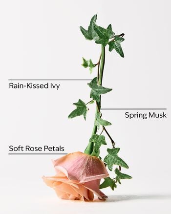 Rose Water & Ivy 3-Wick Candle 3-Wick Candle