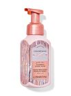 Champagne Toast Gentle & Clean Foaming Hand Soap image number null
