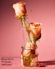 Heirloom Rose Eau De Parfum image number null