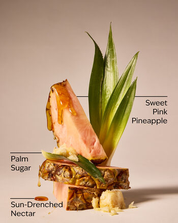 Pink Pineapple Sunrise Wallflowers Fragrance Refill Wallflowers Fragrance Refill