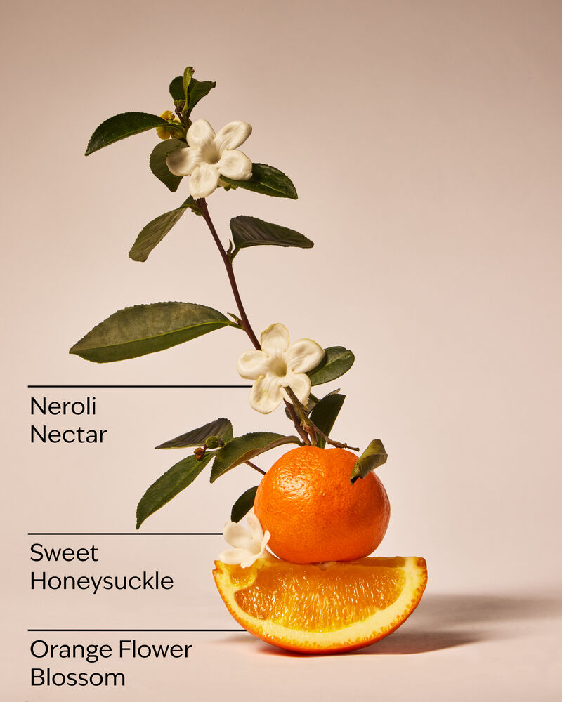 Backyard Honeysuckle Single Wick Candle Single Wick Candle