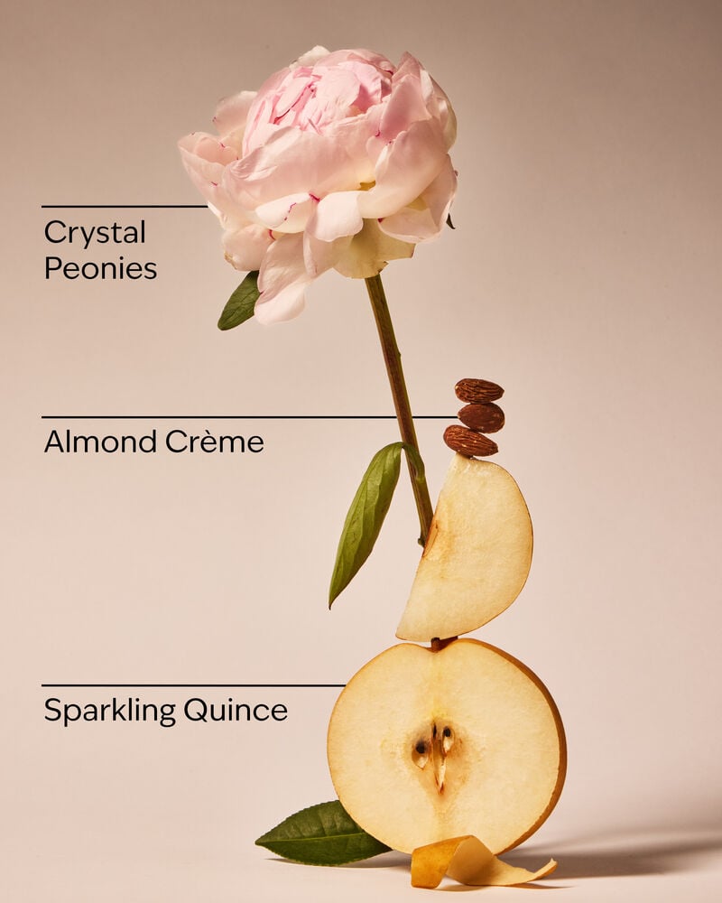 A Thousand Wishes Daily Nourishing Body Lotion Daily Nourishing Body Lotion