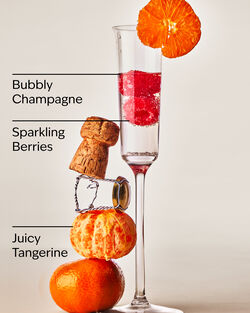 Champagne Toast Lip Gloss