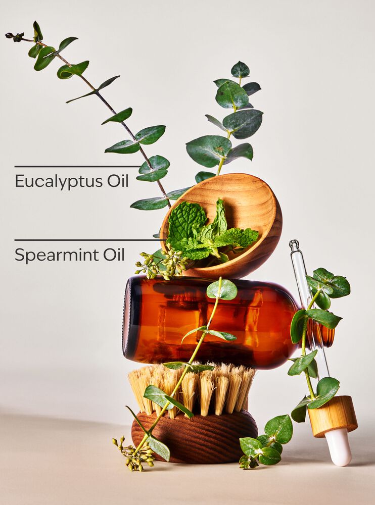 Eucalyptus Spearmint Body and Massage Oil Body and Massage Oil