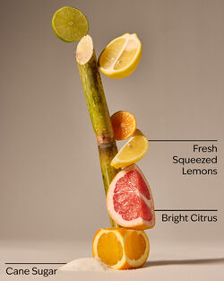 Sunshine & Lemons Sanitizing Hand Gel image number null