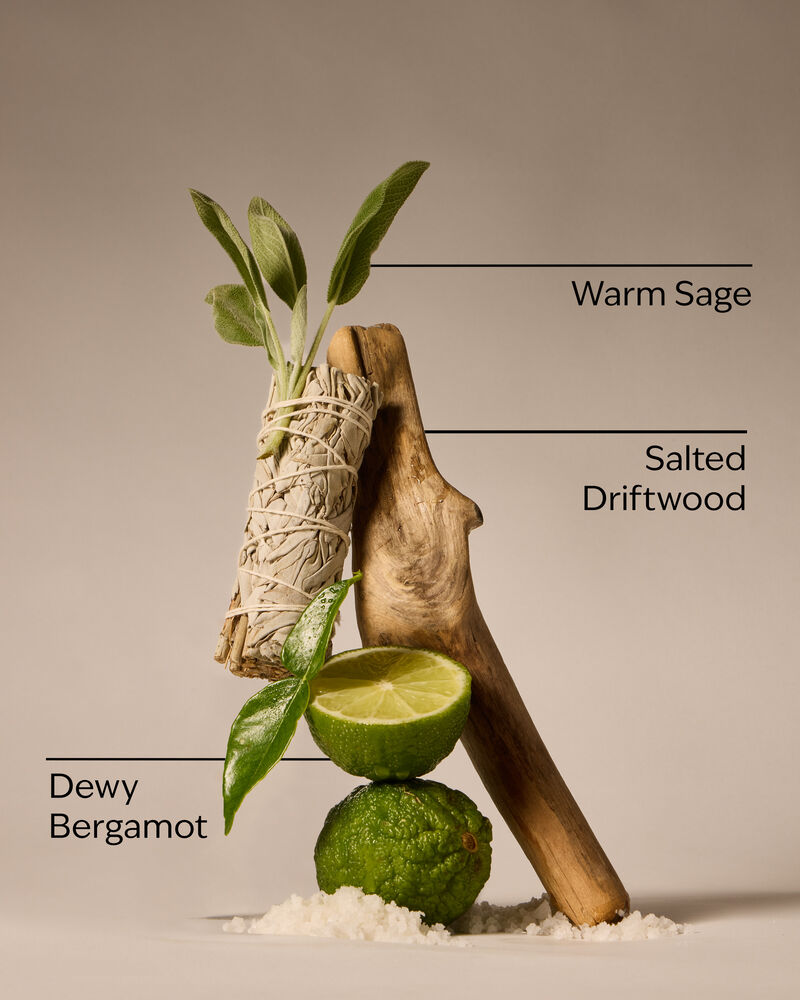 Salted Shorelines Fine Fragrance Mist Fine Fragrance Mist