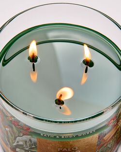 Palo Santo & Sage 3-Wick Candle image number null