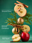 Tis The Season Gentle & Clean Foaming Hand Soap image number null