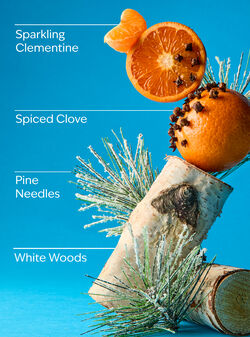 Winter Wallflowers Fragrance Refill image number null