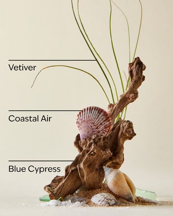 Ocean  Hand Sanitizer Spray Hand Sanitizer Spray