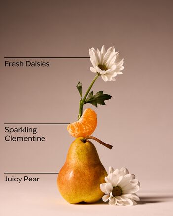 Gingham Fresh Body Wash Body Wash