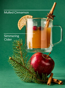Christmas Cider Wallflowers Fragrance Refill