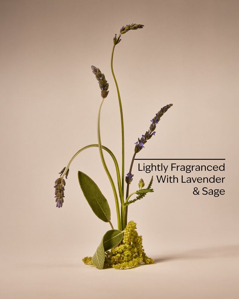 Ultimate Daily Face Lotion Daily Face Lotion