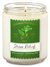 Eucalyptus Spearmint Single Wick Candle image number null