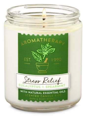 Eucalyptus Spearmint Single Wick Candle Single Wick Candle
