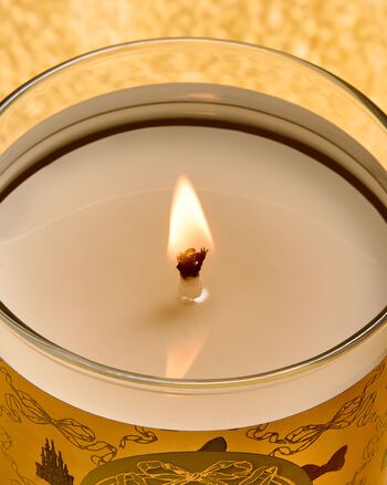 Life's a Fairytale Single Wick Candle Single Wick Candle