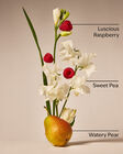 Sweet Pea Body Lotion image number null