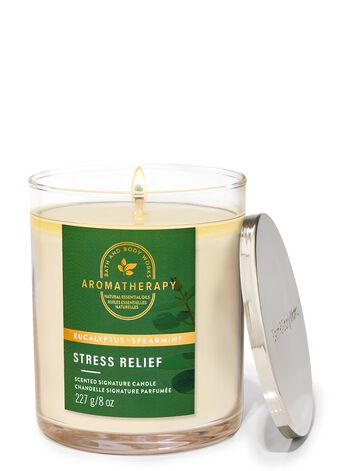Eucalyptus Spearmint Signature Single Wick Candle Single Wick Candle