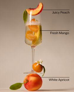 Peach Bellini Hand Sanitizer Spray image number null