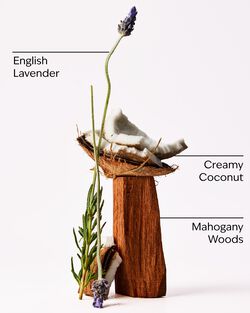 Mahogany Coconut 3-Wick Candle image number null