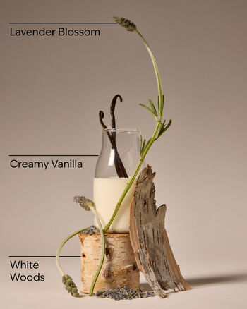 Lavender Vanilla Body Scrub Sugar Scrub