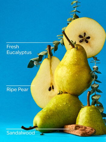 Falling Flurries 3-Wick Candle 3-Wick Candle