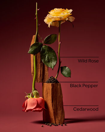 Nocturnal Rose 3-in-1 Hair, Face & Body Wash 3-in-1 Hair, Face & Body Wash