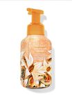 Garden Tea Cookie Gentle & Clean Foaming Hand Soap image number null