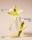 Fresh Rainfall & Linen Gentle & Clean Foaming Hand Soap image number null