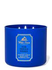 Iced Vanilla Woods 3-Wick Candle image number null