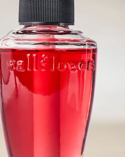 Viva Brazil Wallflowers Fragrance Refill image number null