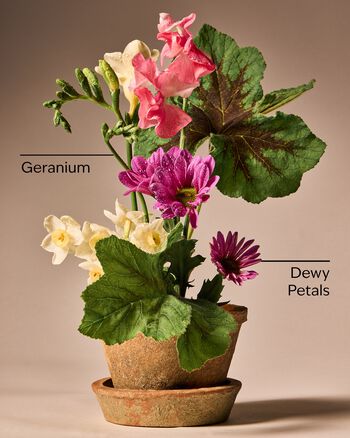 Springtime Greenhouse Gentle & Clean Foaming Hand Soap Gentle & Clean Foaming Hand Soap