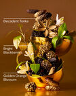 Touch of Gold Body Butter image number null